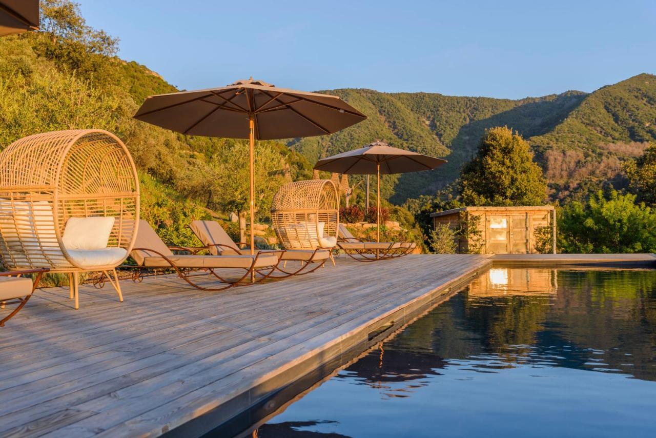 Terre De Maquis, Maison D'Hotes Vue Mer Corse Sari-D'orcino Exterior photo